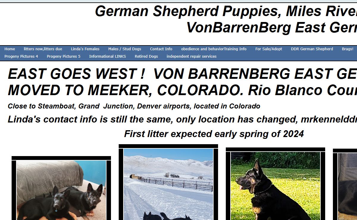 German Shepherds,Miles River Kennel, Von BarrenBerg German