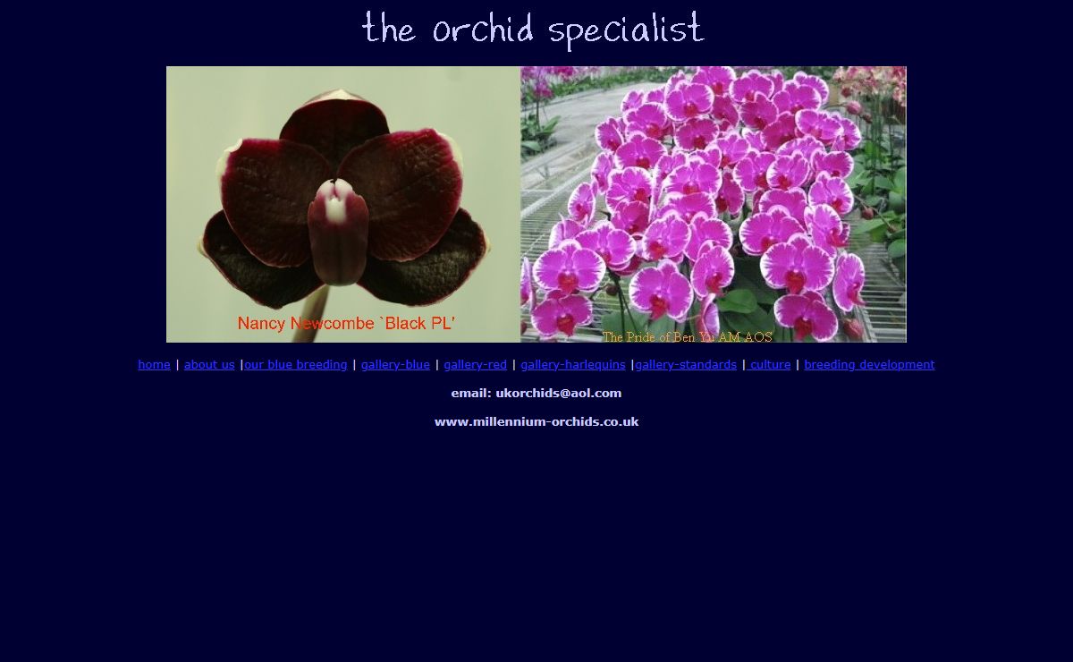 Millennium orchids specialising in breeding phalaenopsis violacea blue, blue violacea and novelty phalaenopsis