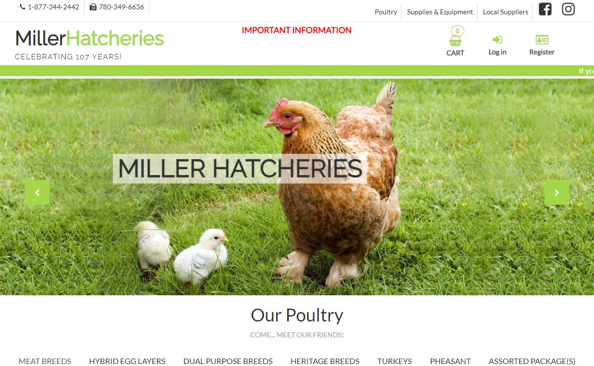 Miller Hatcheries