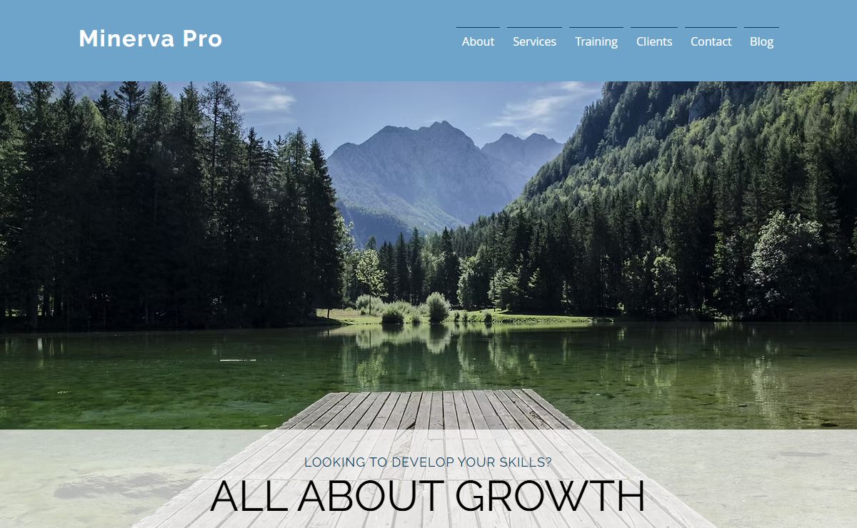 Welcome to Minerva Pro - Training