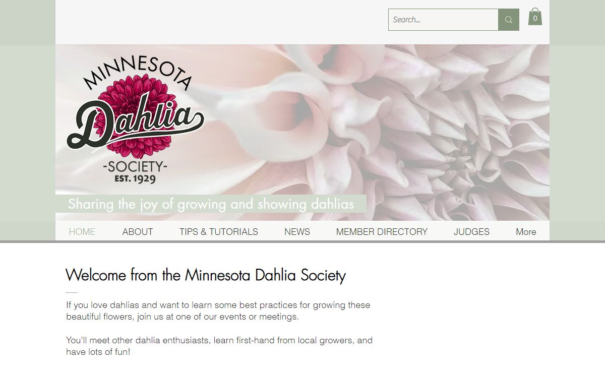 Minnesota dahlia | Minnesota Dahlia Society