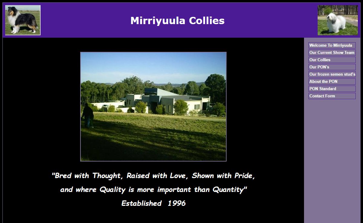 Mirriyuula Collies