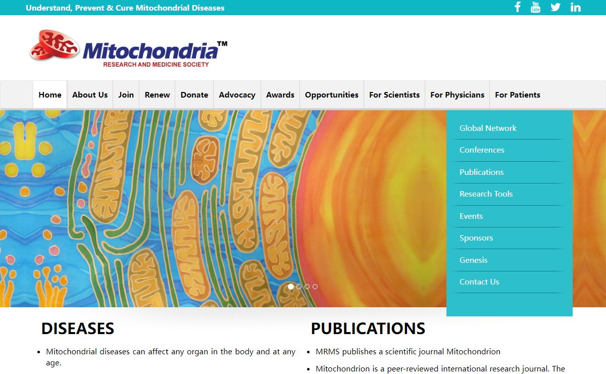 Mitochondria