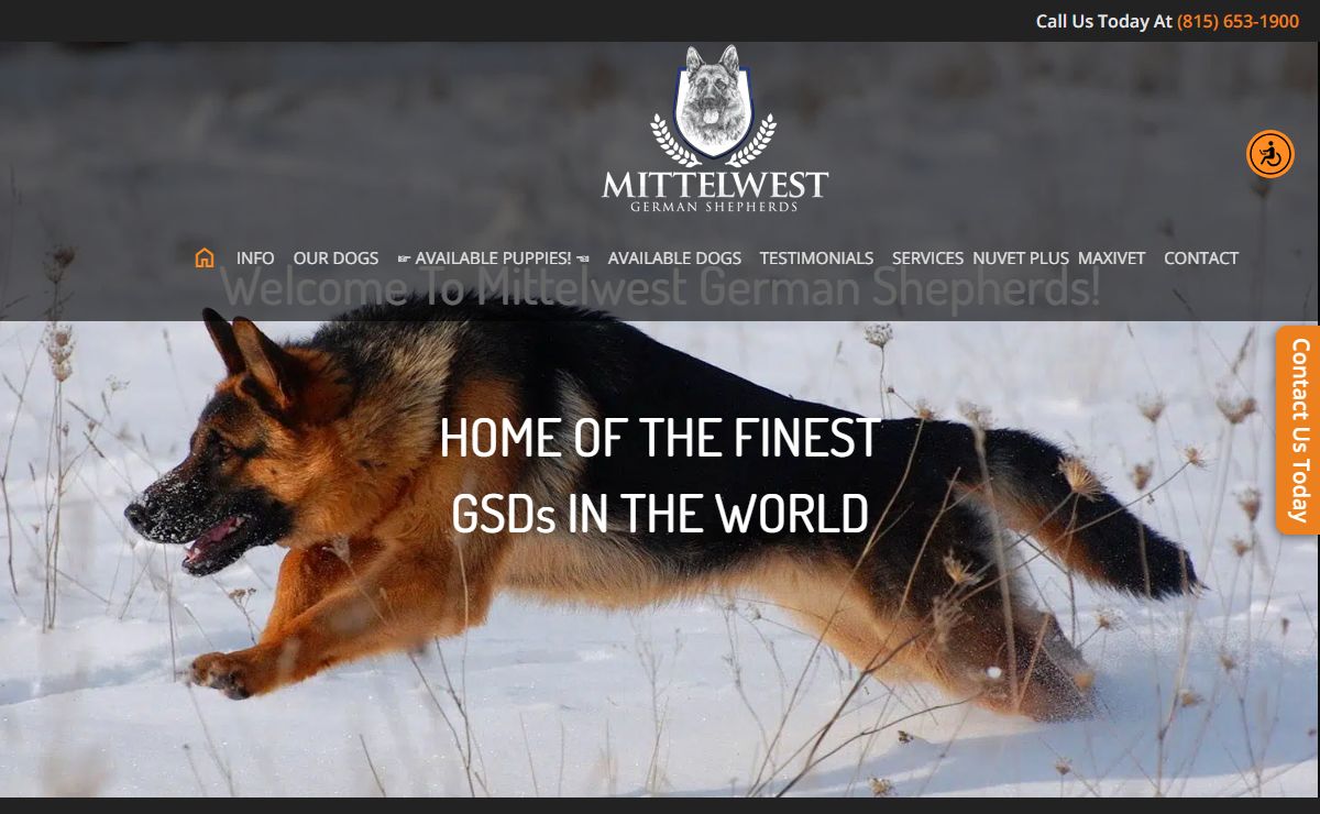 Best German Shepherd Breeder In The US | Mittelwest