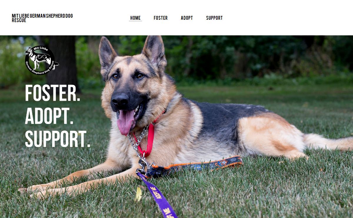 MIT LIEBE GERMAN SHEPHERD DOG RESCUE - Wisconsin German Shepherd Dog Rescue | MLGSDR