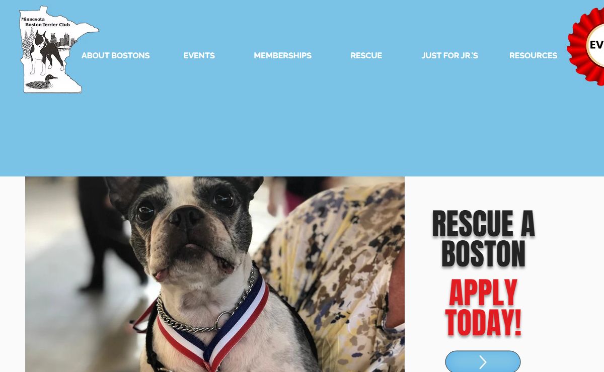 Minnesota Boston Terrier Club & Rescue - United States