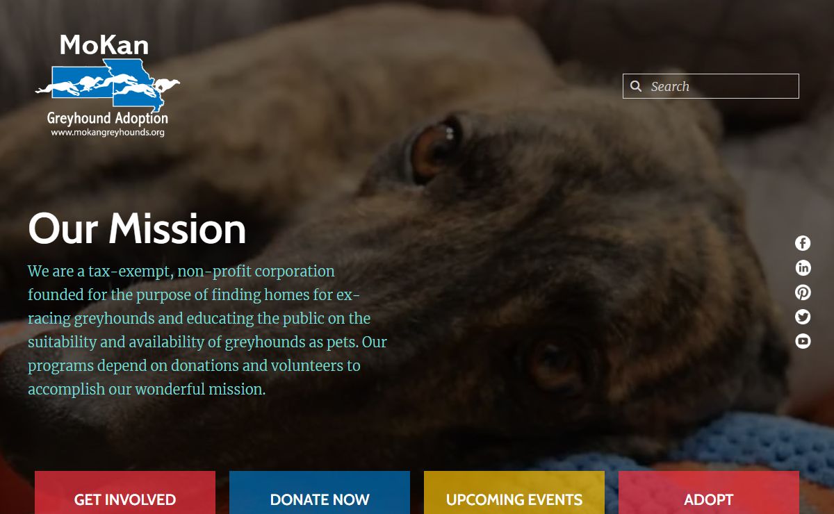 Home : MoKan Greyhound Adoption