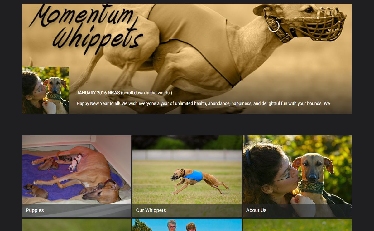 momentumwhippets