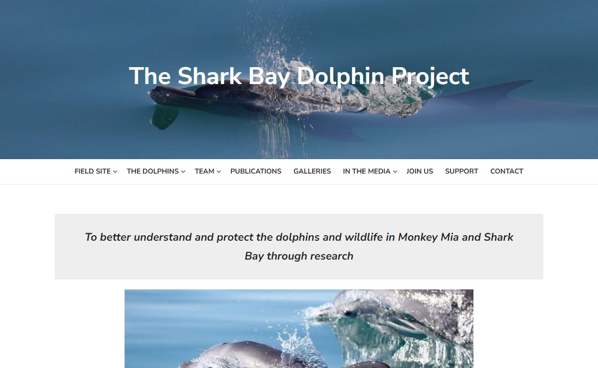 The Shark Bay Dolphin Project