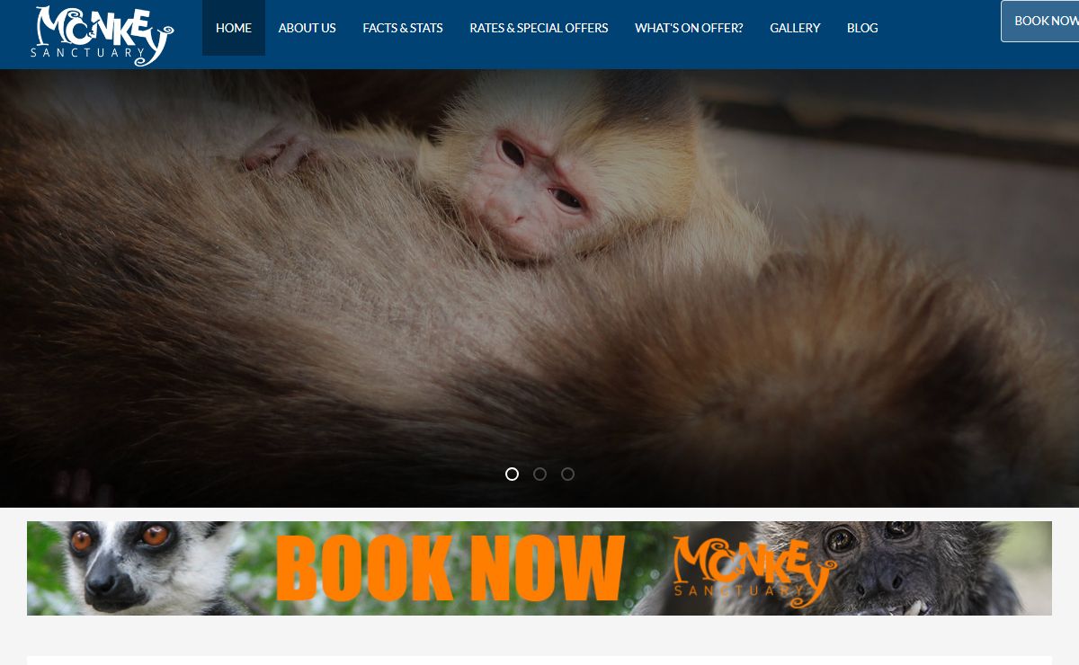 Monkey Sanctuary in Hartbeespoort Dam