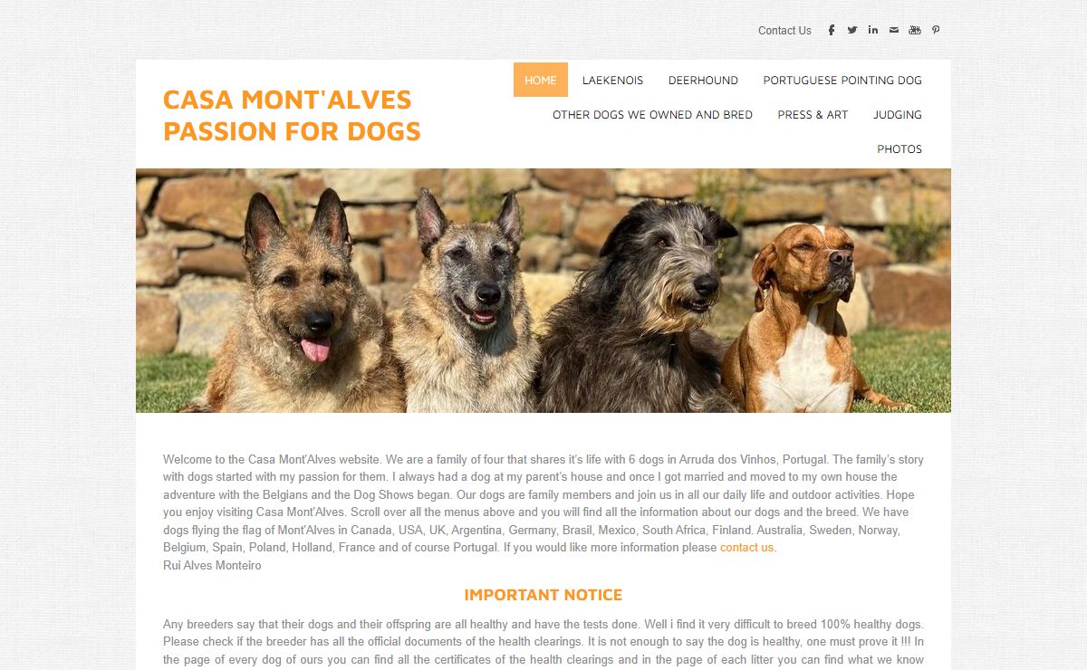 CASA MONT'ALVES PASSION FOR DOGS - Home