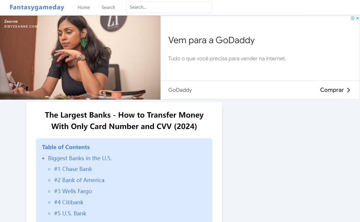 The Largest Banks - ​​How to Transfer Money With Only Card Number and CVV (2024)