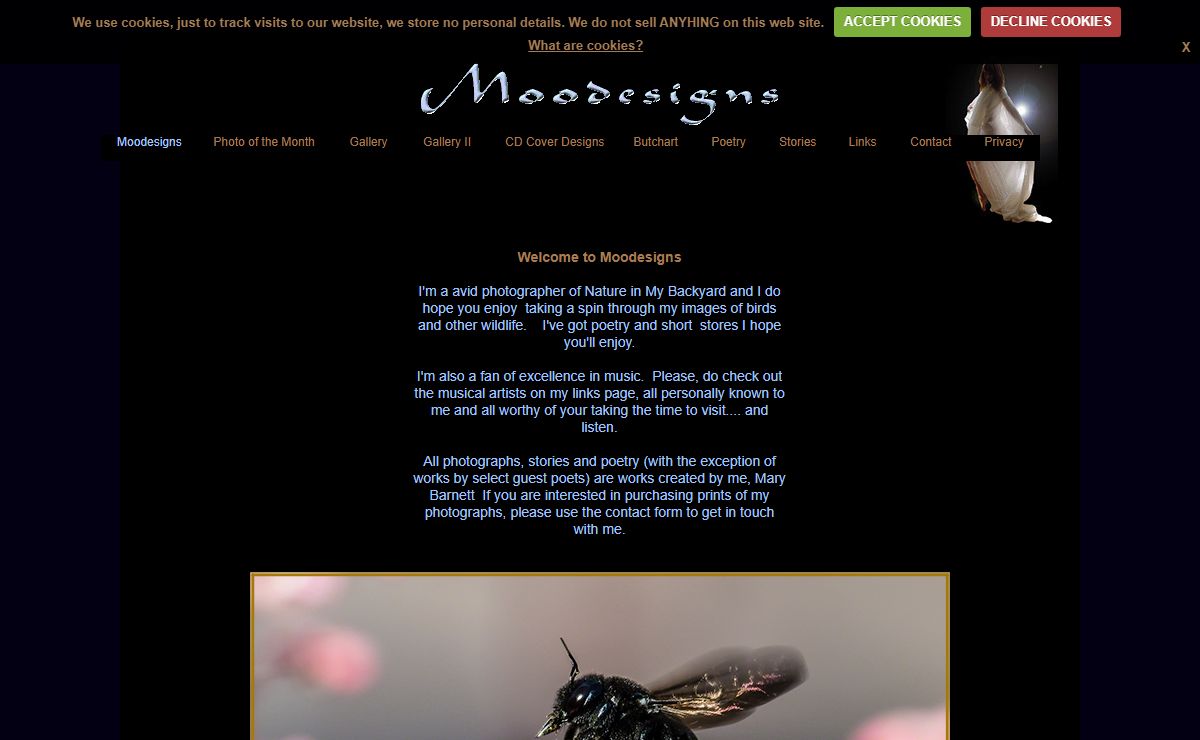 Moodesigns