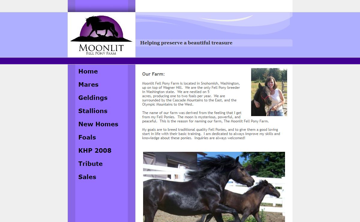 Moonlit Fell Pony Farm
