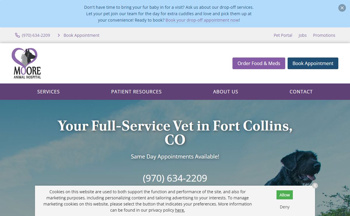 Veterinarian in Fort Collins, CO | Moore Animal Hospital