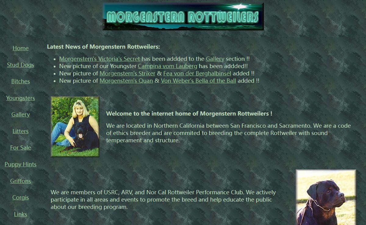 Morgenstern Rottweilers