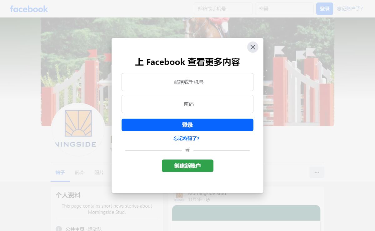 Morningside Stud | Facebook