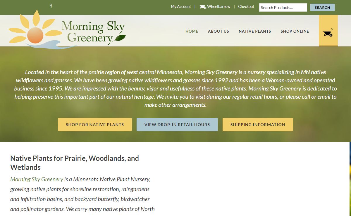 Minnesota Native Prairie Plants | Morning Sky Greenery