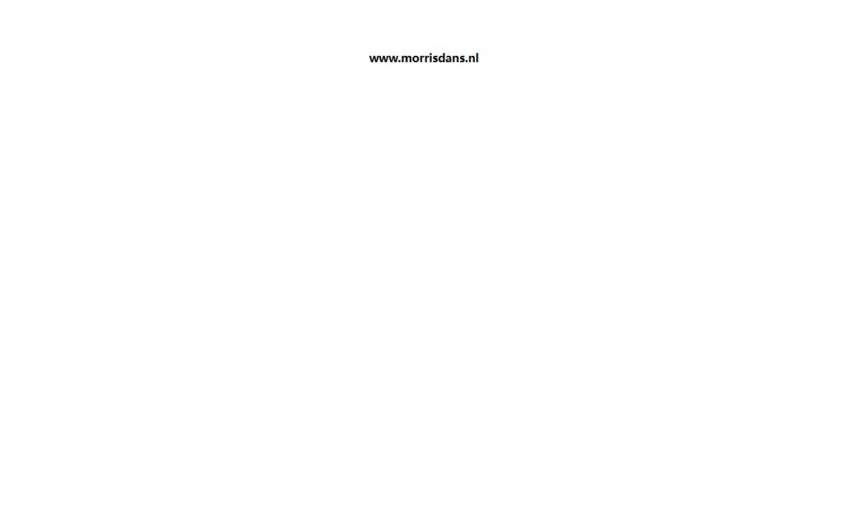 www.morrisdans.nl