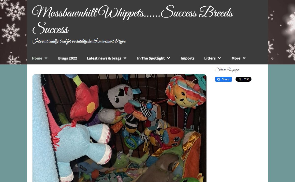mossbawnhillwhippets.com