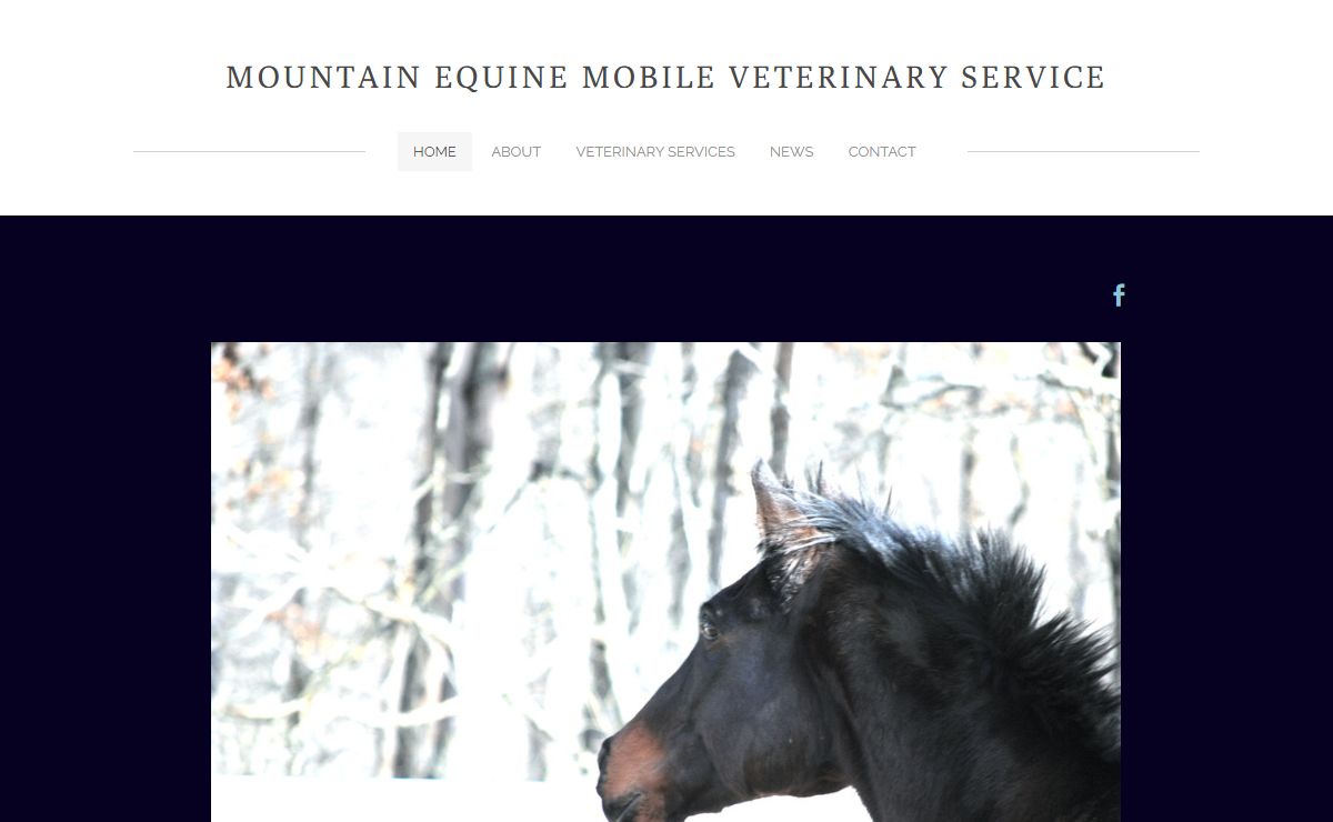 Mountain Equine Mobile Veterinary Service - Equine Veterinary Service