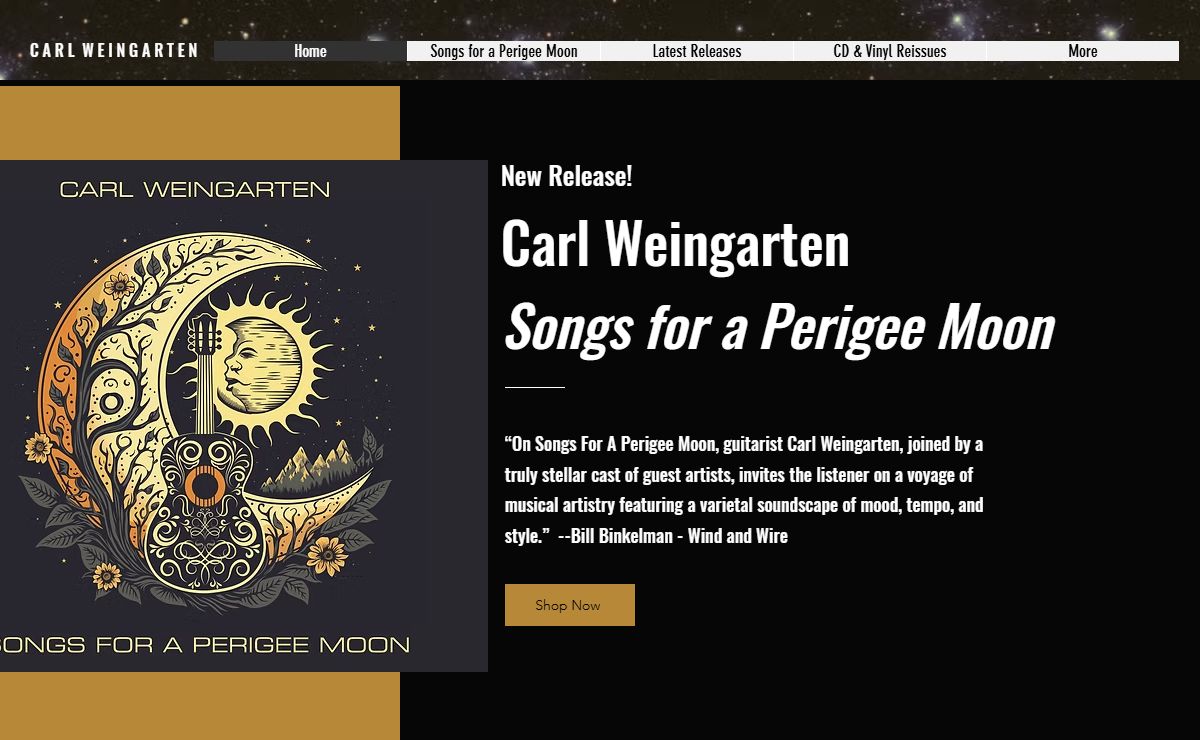 CARL WEINGARTEN | Slide Guitarist | Producer | Photographer