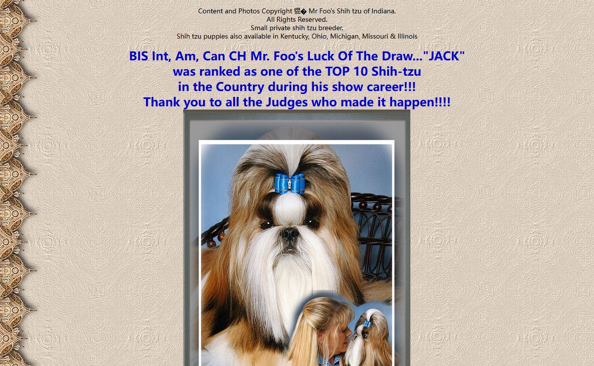 Mr Foo's Shih Tzu of Indiana, Kentucky, Missouri, Illinios, Ohio, Michigan. Home Bred Champion Shih-tzu Puppies, Small private Shih tzu breeder in Indianapolis, Indiana, Louisville, Kentucky and St. Louis, Missouri.