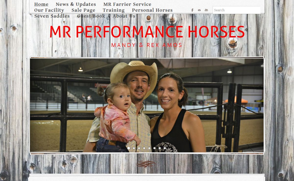 MR PERFORMANCE HORSES - Offers Barrel Horse Training, Lessons & Sales