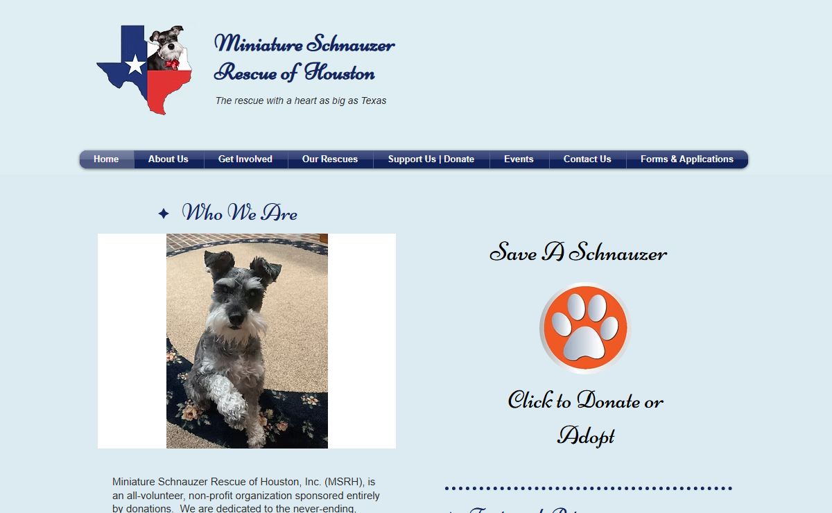 Miniature Schnauzer Rescue of Houston