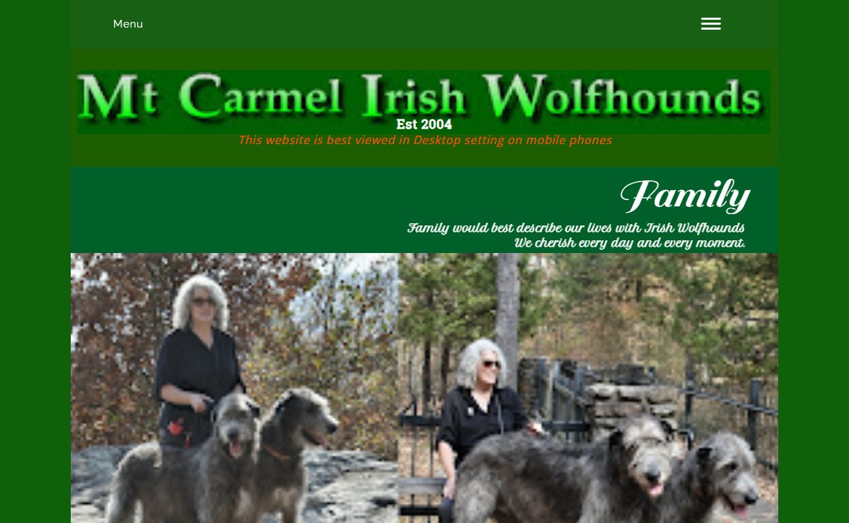 Mt Carmel Irish Wolfhounds (Arkansas)