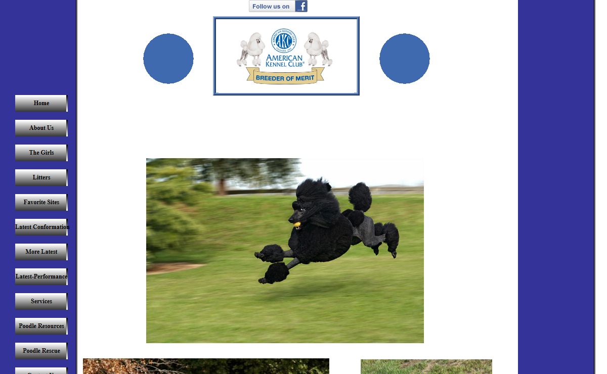Poodles|Standard Poodles|Poodle Grooming|Breeder|Boarding|Family Pets