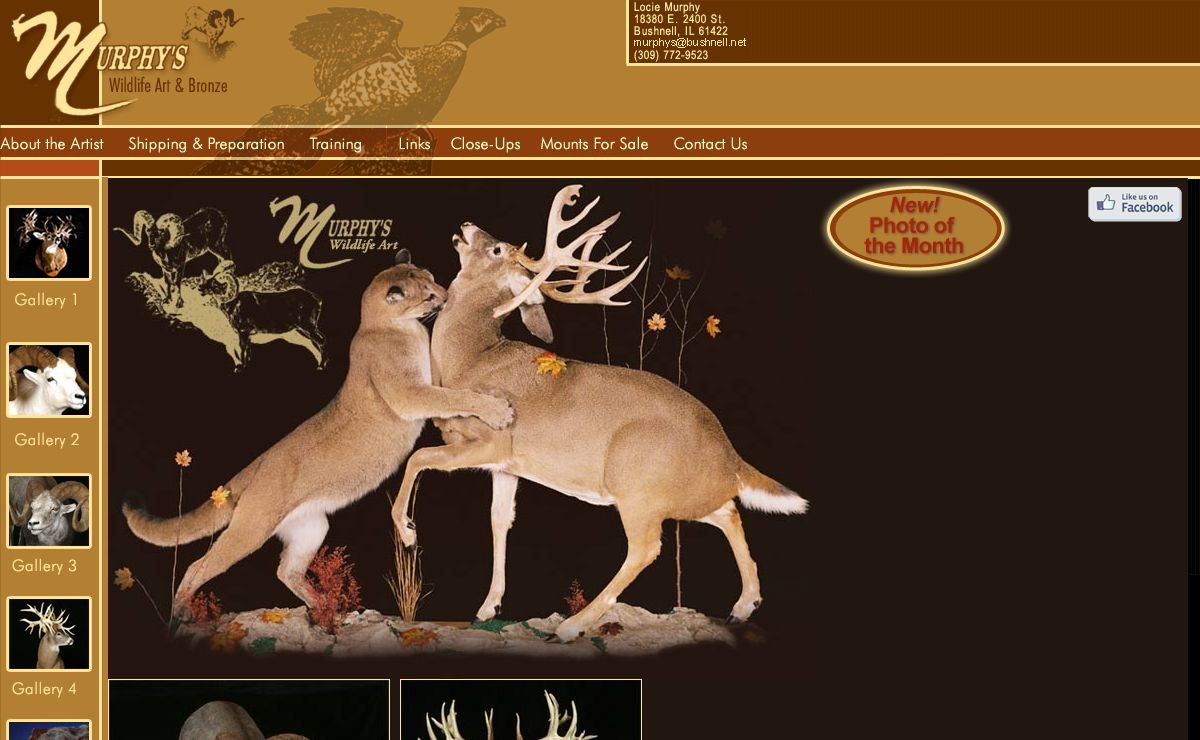 Murphy's Wildlife Art & Bronze - Award Winning Taxidermist, Bushnell, Illinois