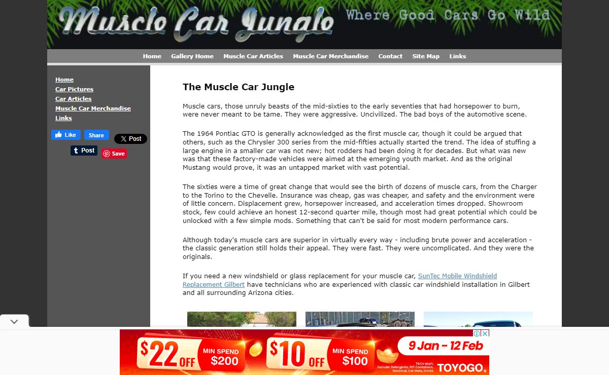Muscle Car Jungle™- Where Good Cars Go Wild