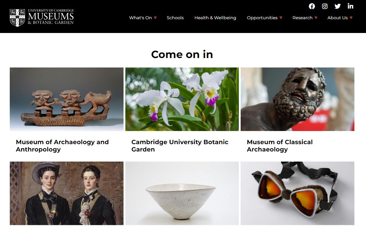 Homepage | University of Cambridge Museums