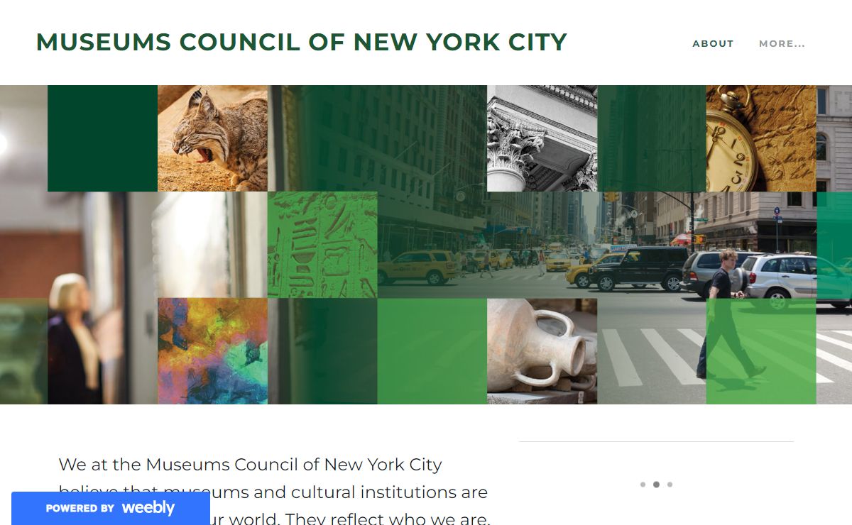 MUSEUMS COUNCIL OF NEW YORK CITY - About