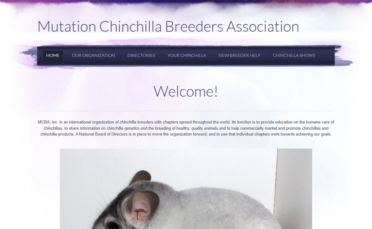 Mutation Chinchilla Breeders Association - Home
