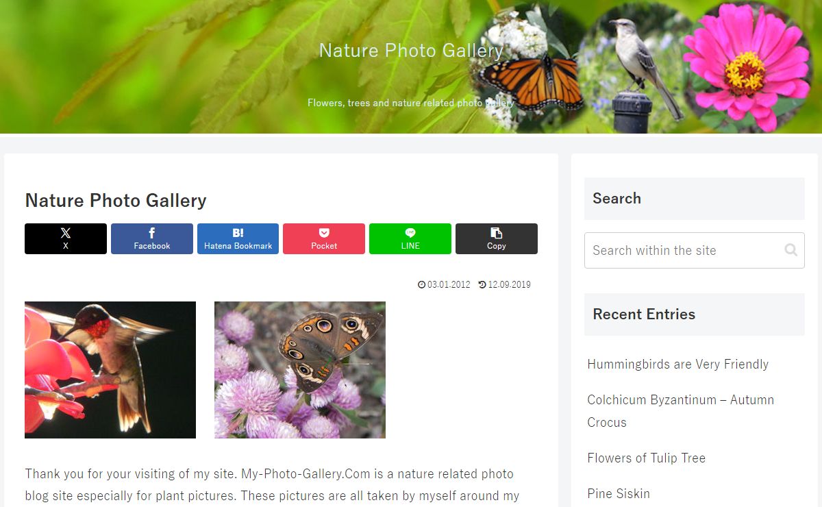 Nature Photo Gallery | Flowers, trees and nature related photo gallery