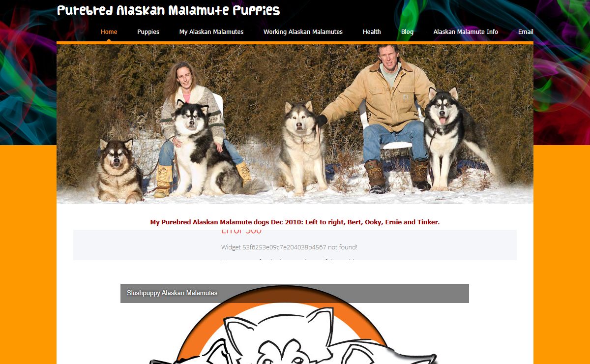 Purebred Alaskan Malamute Puppies - Purebred registered Alaskan Malamute puppy, puppies for sale in Ontario, kennel, breeder, cost