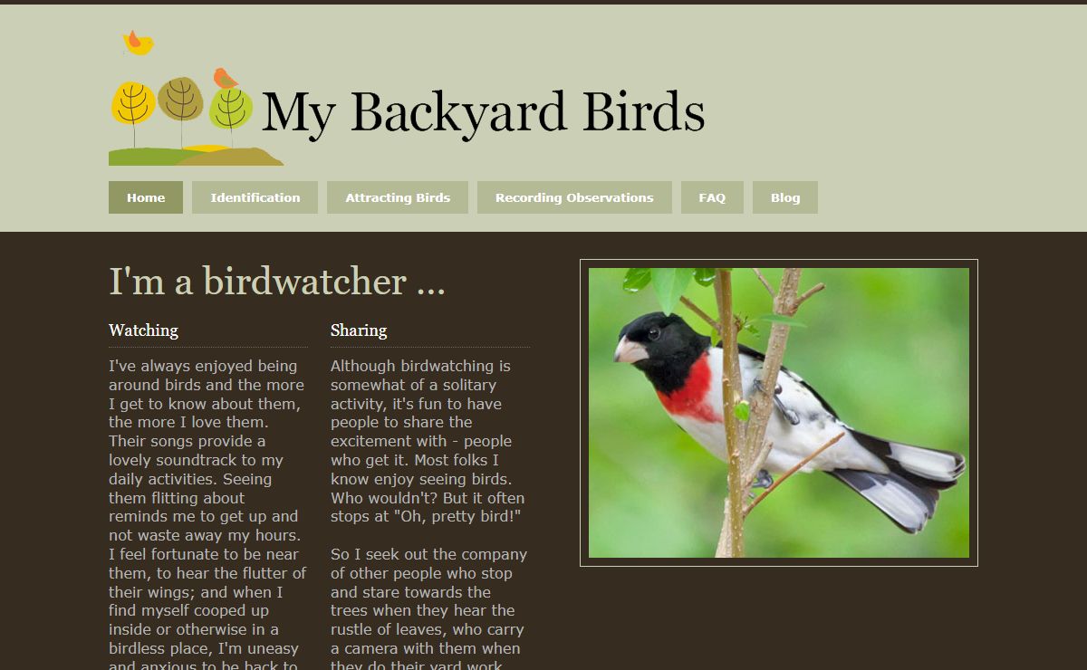 My Backyard Birds
