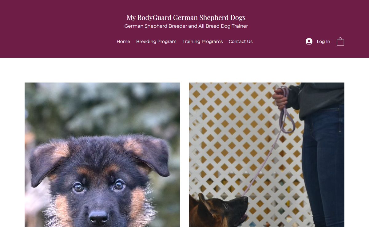 Dog Training | My BodyGuard German Shepherd Dogs Marengo
