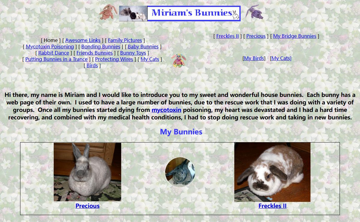 Bunny Pictures, Bunnies as Pets, House Rabbits
