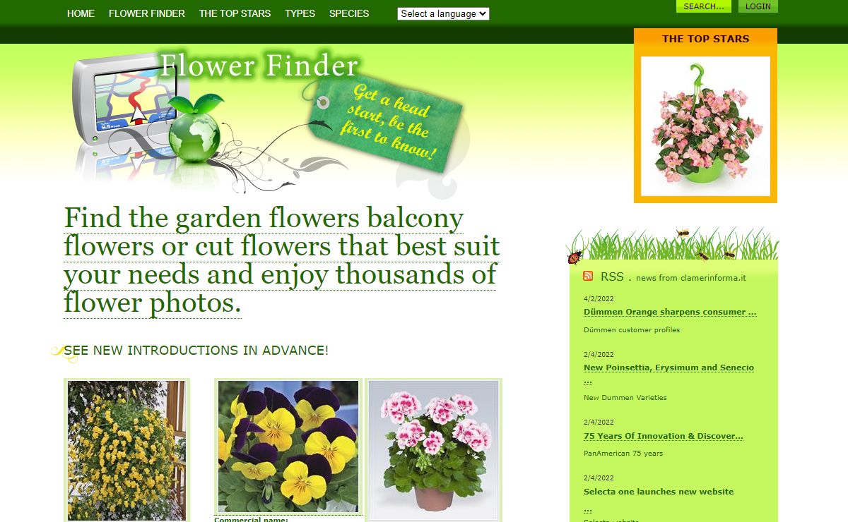Find the garden flowers balcony flowers or cut flowers that best suit your needs and enjoy thousands of flower photos.