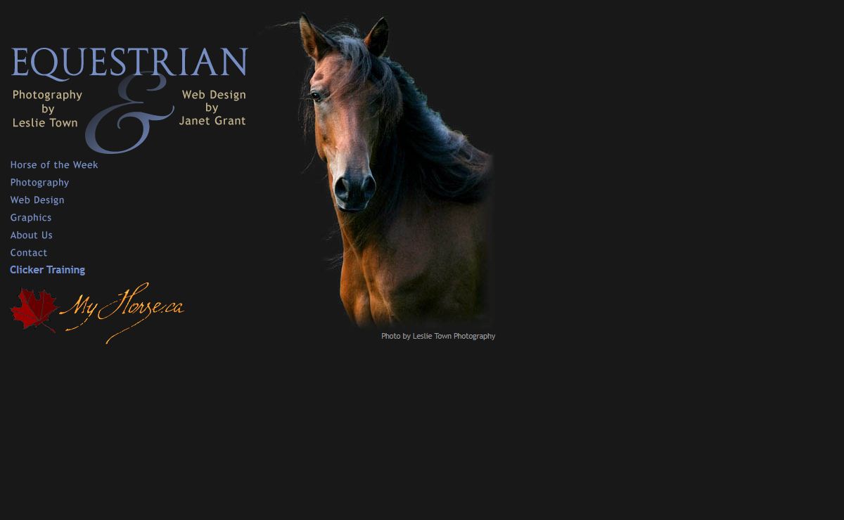 Ontario Horse Web Design by Janet Grant and Equestrian Photography by Leslie Town
