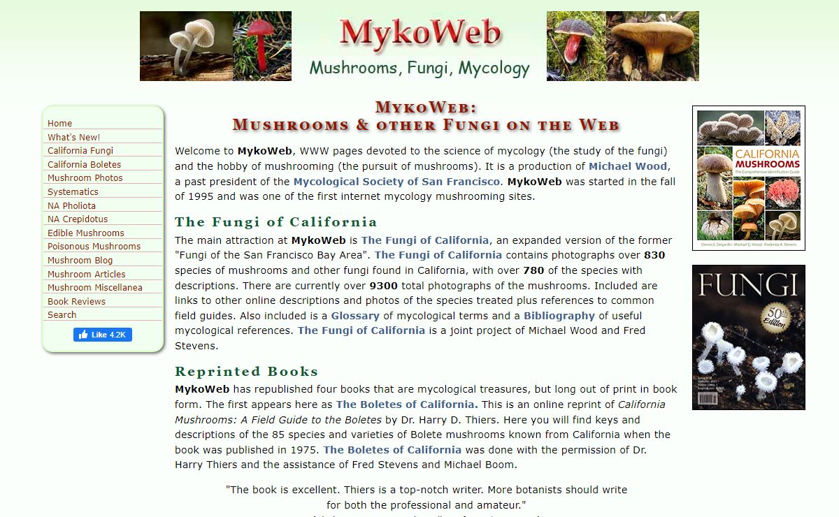 MykoWeb: Mushrooms, Fungi, Mycology