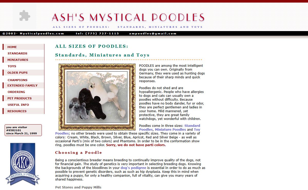 Poodles and Poodle Puppies - Standards, Miniatures and Toys | Ash's Mystical Poodles Breeders | Las Vegas, NV