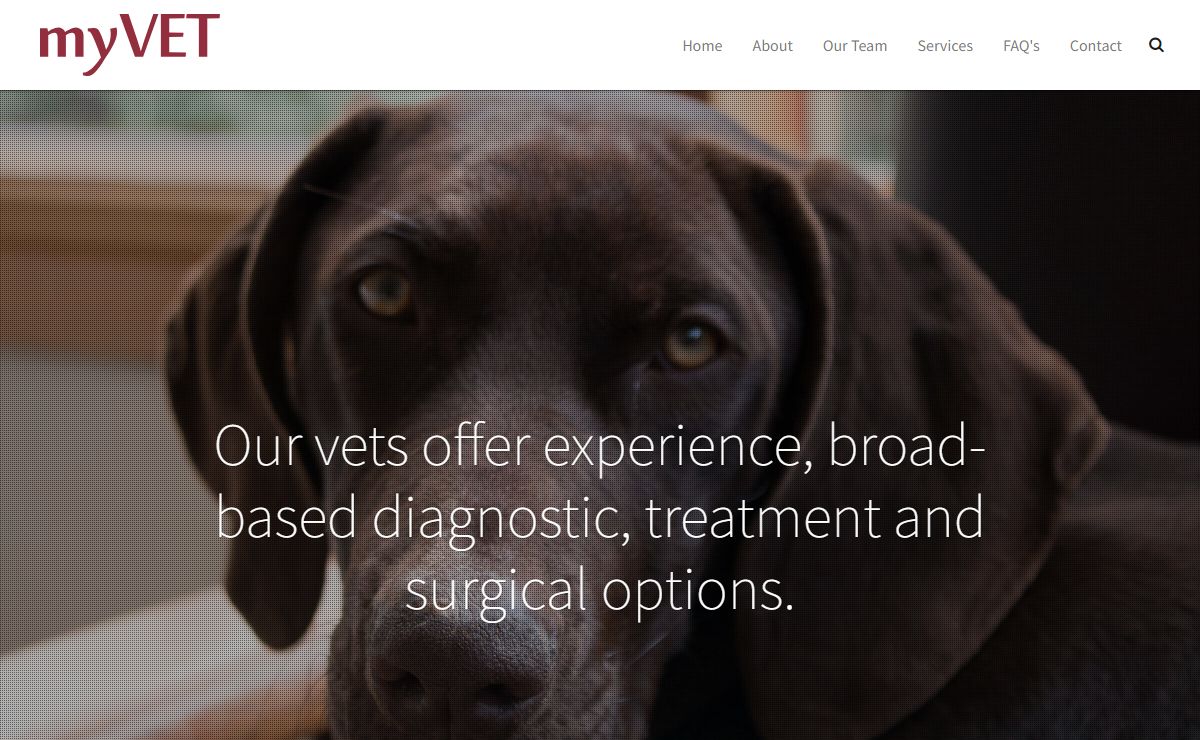 myVet
