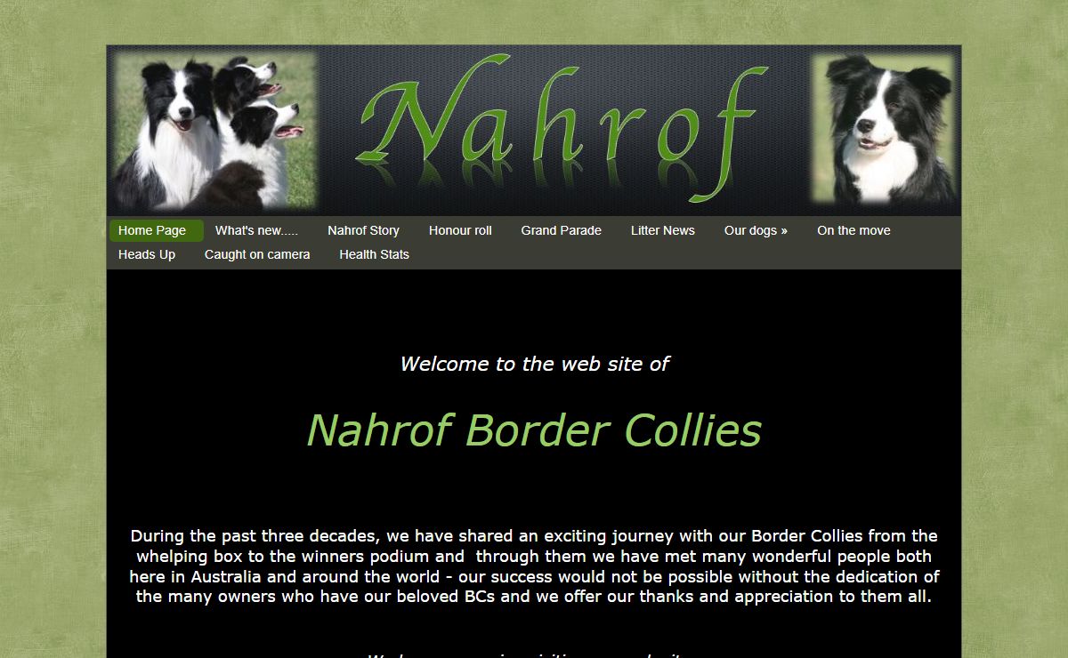 Nahrof Border Collies