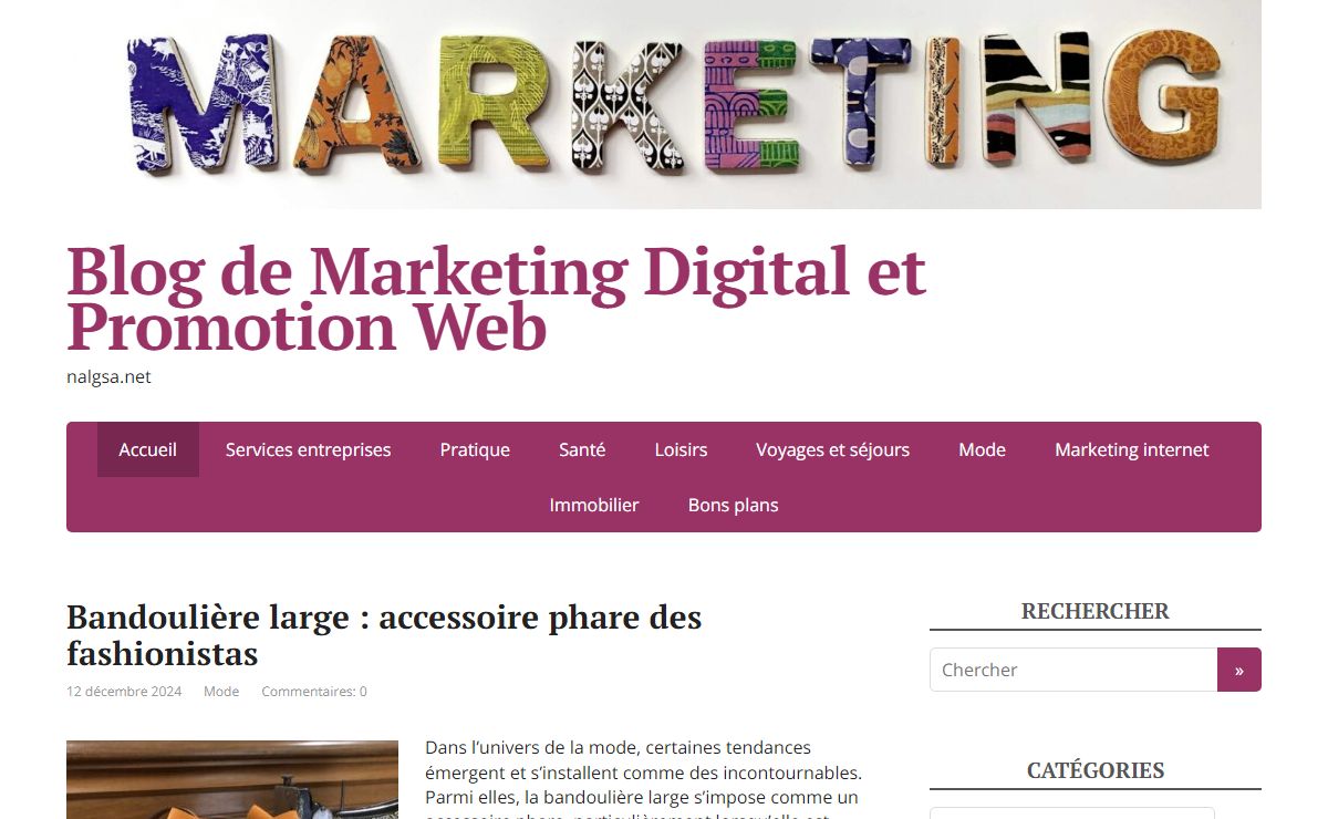Blog de Marketing Digital et Promotion Web - nalgsa.net