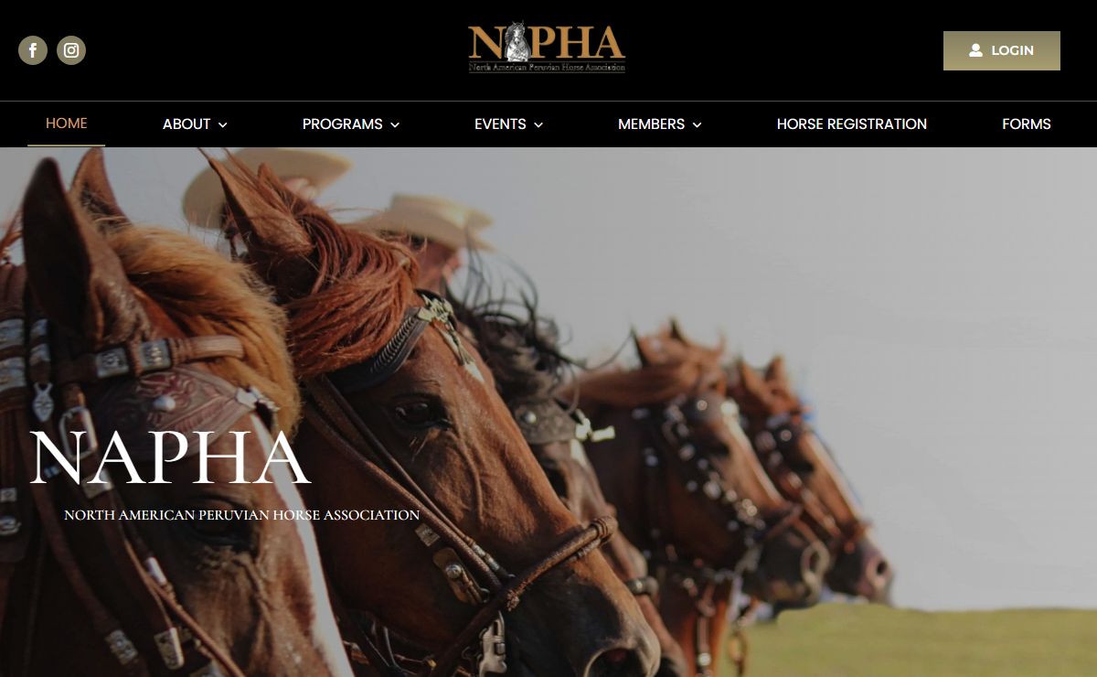 Home - North American Peruvian Horse Association | NAPHA