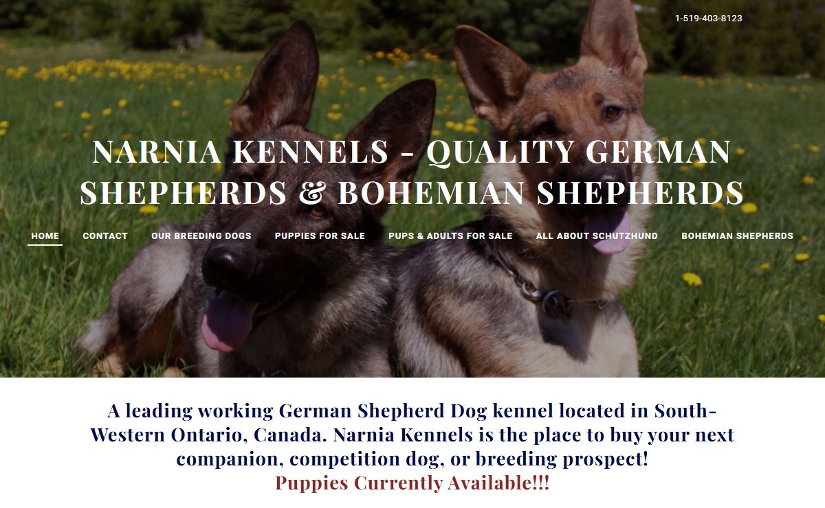 NARNIA KENNELS - QUALITY GERMAN SHEPHERDS & BOHEMIAN SHEPHERDS - Home